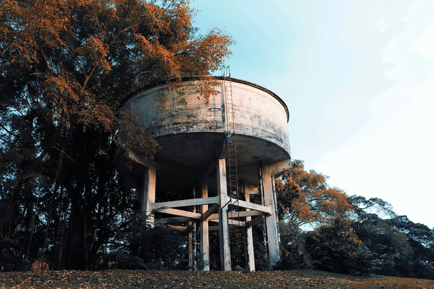 A concrete overhead water tank among trees